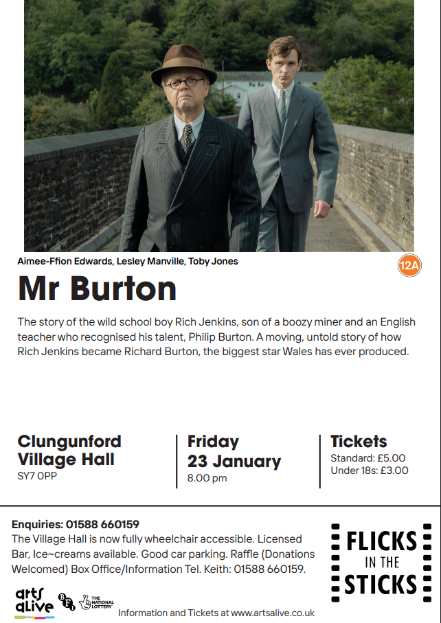 Mr Burton web